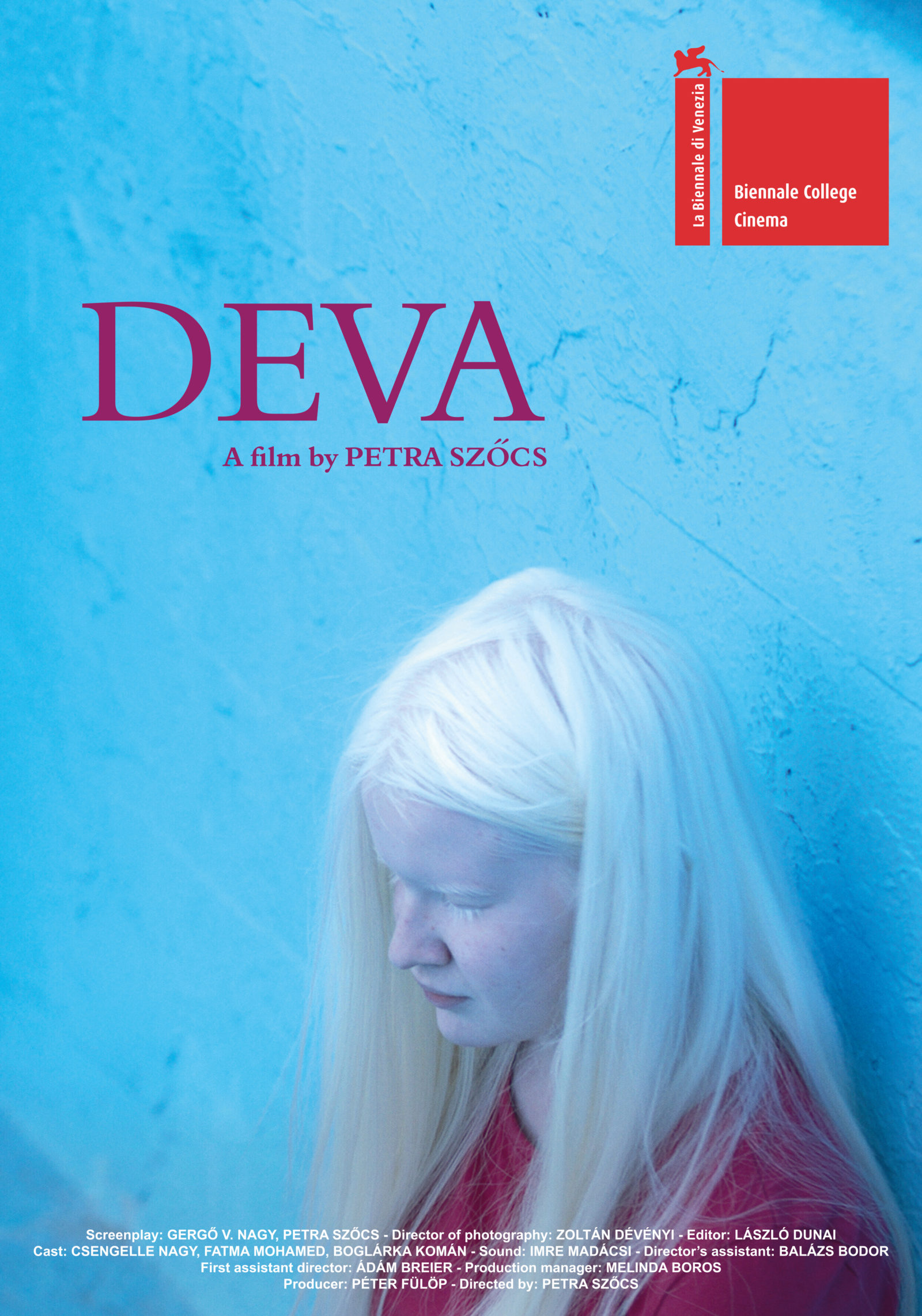 Deva The Film Agency