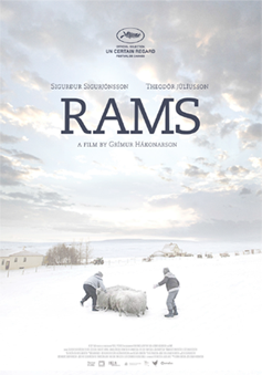 Rams - Official Film Poster - Film Agency